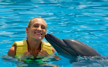 Discovering Dolphinaris: An Unforgettable Dolphin Experience