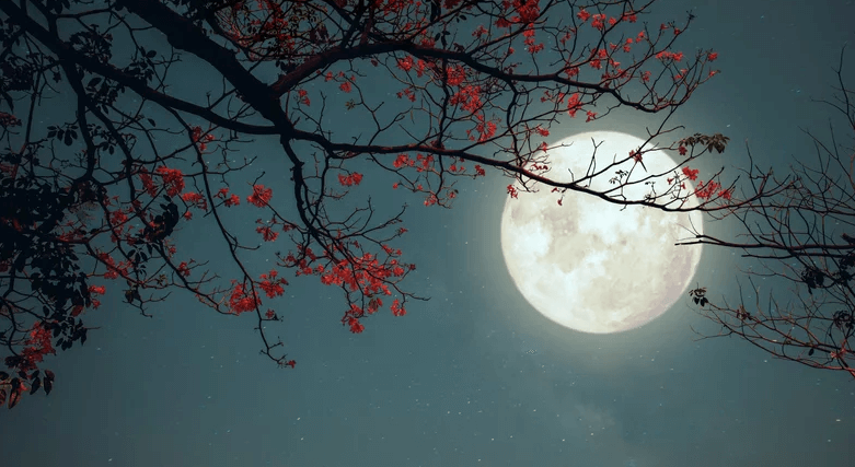 Clipart:9djeyrq3u8a= Full Moon