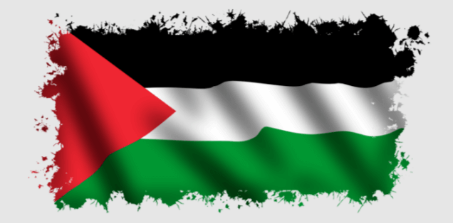 Transparent:6hc_8nxu_Y8= Palestine Flag