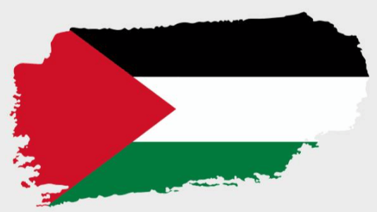 Transparent:6hc_8nxu_Y8= Palestine Flag