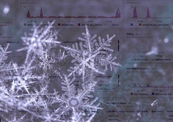 Warehouse Overload in Snowflake