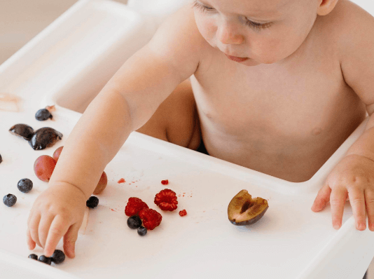 Baby-Led Weaning