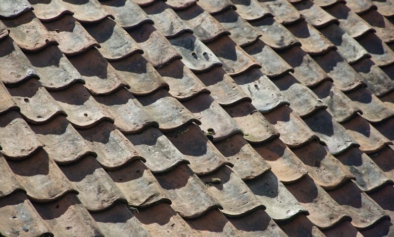 Half a Roof in Scotland