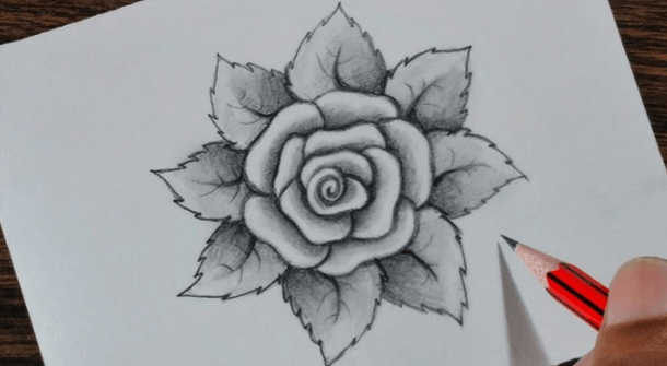 Drawing:3bi7an14v9o= Flower