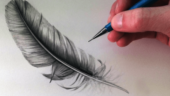 Drawing:2sq2cro9jze= Feather