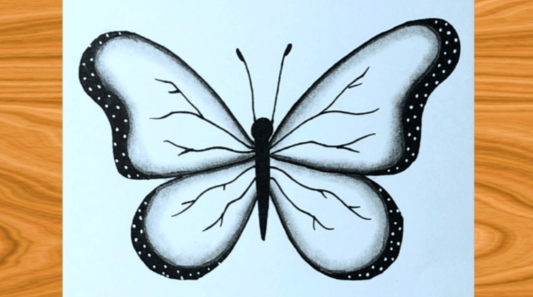 Drawing:5dlmdowxula= Beautiful:Ai4bq7_Z_Xc= Butterfly