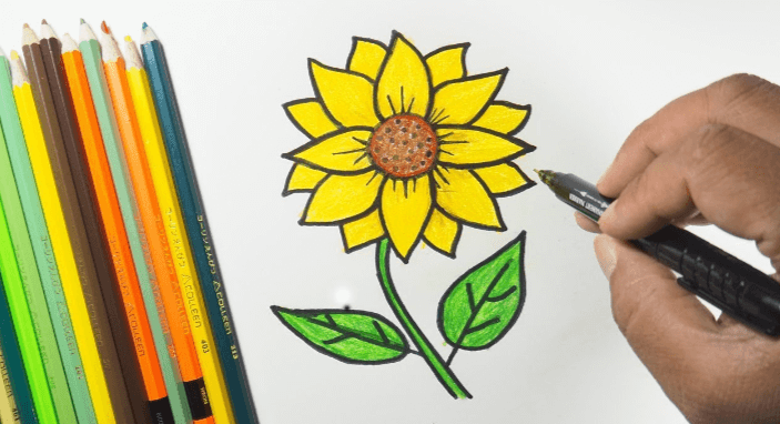 Drawing:7nqvopeivx0= Sun Flowers