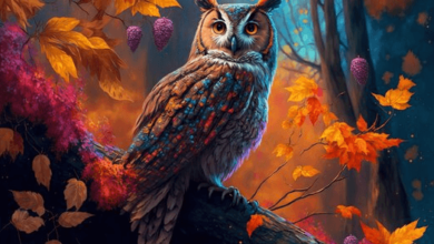 Art:8d3vxybkwti= Owl Images