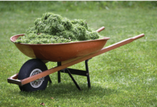 Clipart:0lb1qm-3mwk= Wheelbarrow