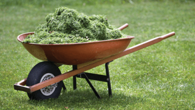 Clipart:0lb1qm-3mwk= Wheelbarrow