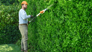 Timing Is Everything: Why Seasonal Awareness Matters in Hedge Trimming