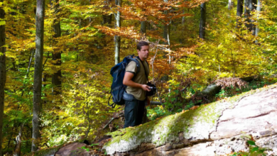 Nature Over Notifications: Why Wilderness and Woods Are the New Wellness Hotspots