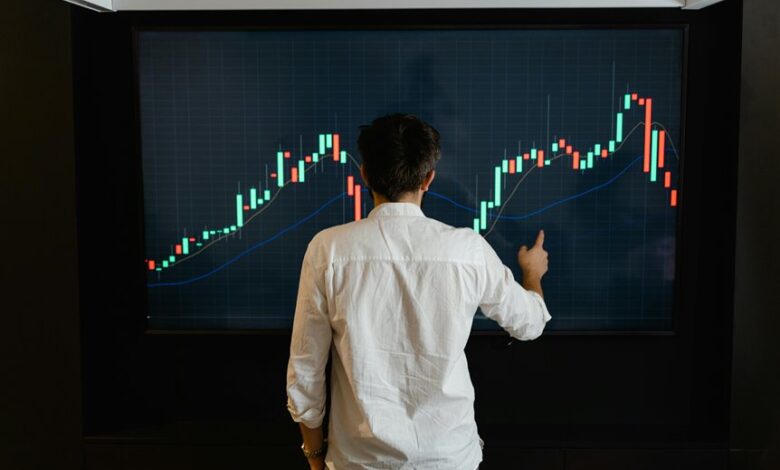 premium business intelligence services