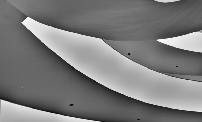 krylovalster s unique characteristics revealed