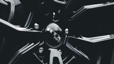 wezic model specifications revealed