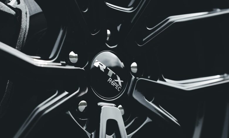 wezic model specifications revealed