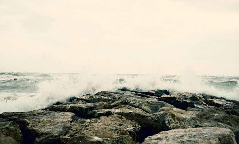 apex surge start alternatively apex surge start horizons