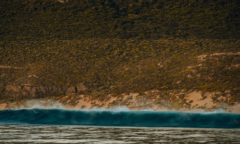 catalyst wave driving transformation potential