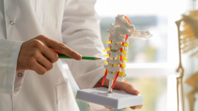 How Diet Impacts Bone Density And Joint Mobility?