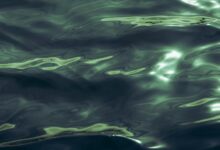 luminous wave starts transformative potential