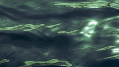 luminous wave starts transformative potential