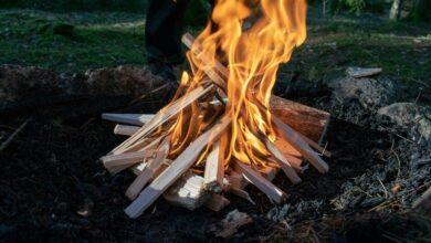 quantum apex ignition sparks horizons