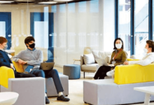 Navigating the IB Diploma With the Right Local Support in Hong Kong